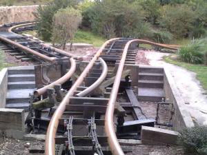 10899622_10153813883554572_1208111234_n