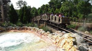 Grizzly Mountain Flex