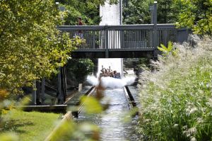 Canadas wonderland timberwolf falls 2