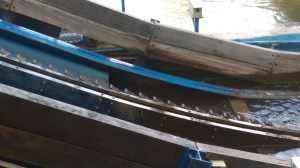 Chimelong Golden Horse Shoot The Chute (10)