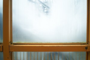 Nagashima Shoot the Chute (3)