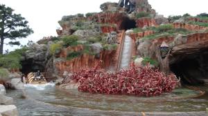 Splash Mountain TDL Flex
