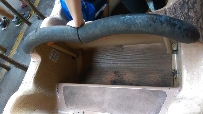 Splash Mountain WDW (2)