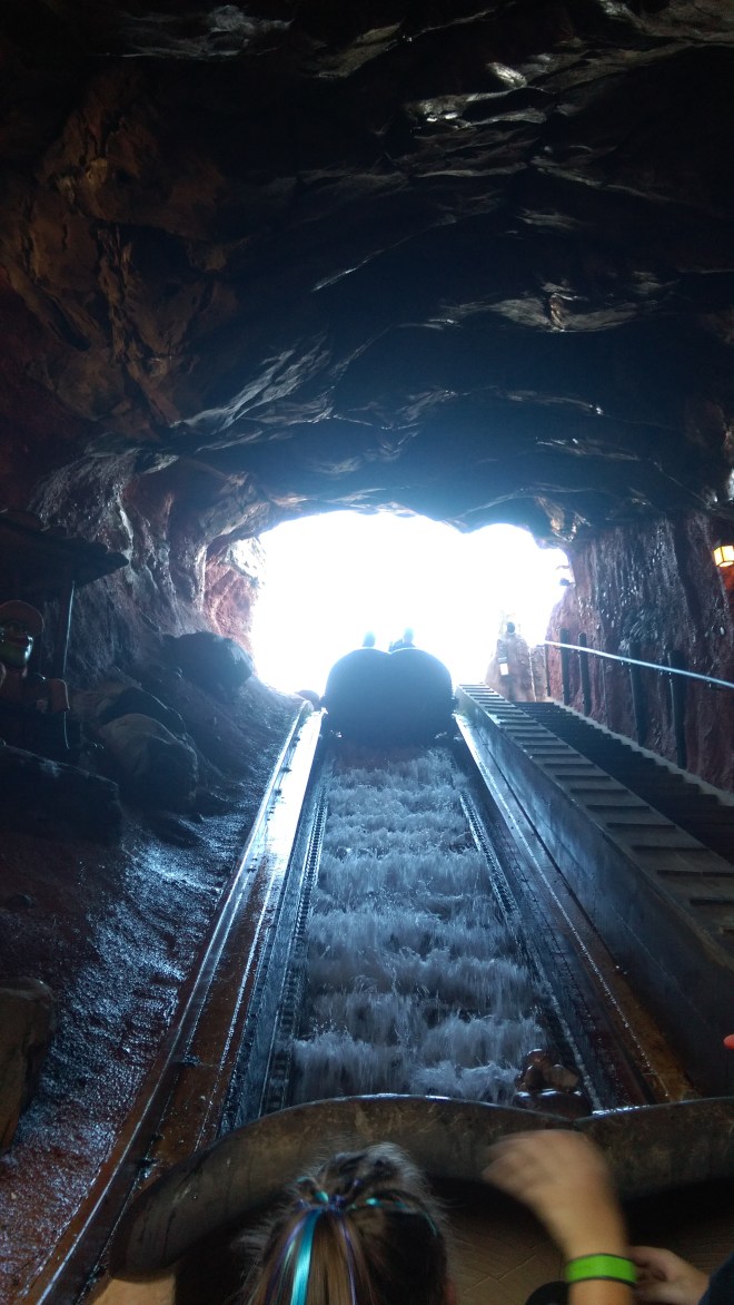Splash Mountain WDW (5)