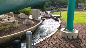 Thunder Creek Mountain (10)