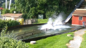 Thunder Creek Mountain (9)