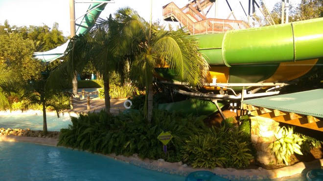 Tassie's Twister FL (2)