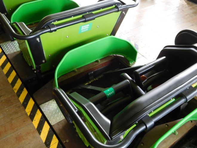 Python in Bamboo Forest Wanda Theme Park Nanchang Millennium Flyers (3)