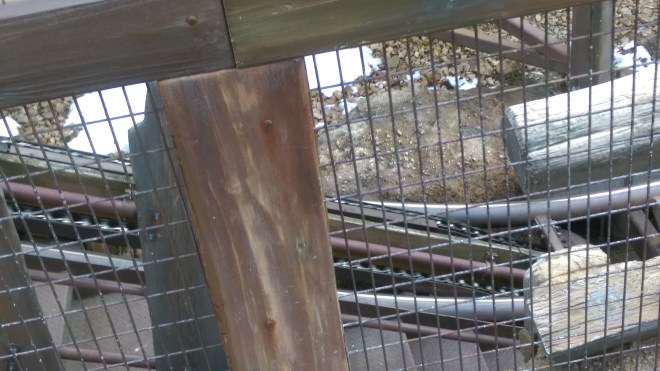 Raging Spirits Tokyo DisneySea Lift Chain