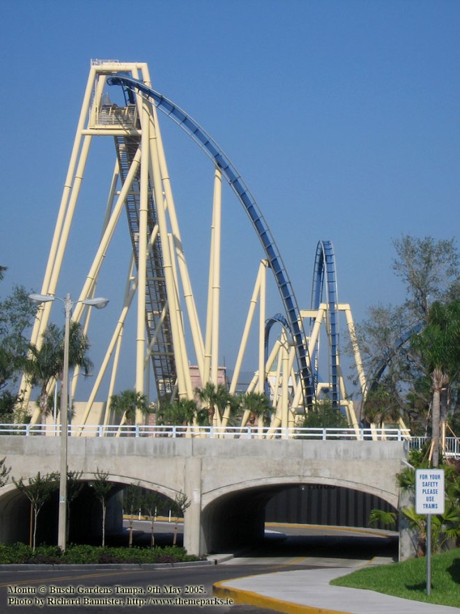 montu1
