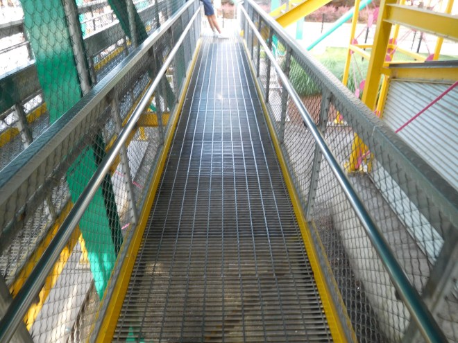 Raptor Cedar Point (21)