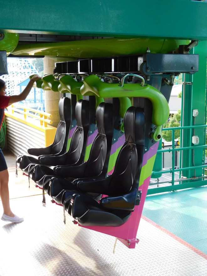 Raptor Cedar Point (26)