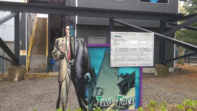 Batman The Dark Knight SFNE (3)