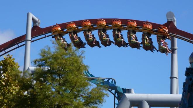 Dragon Challenge Flex 6