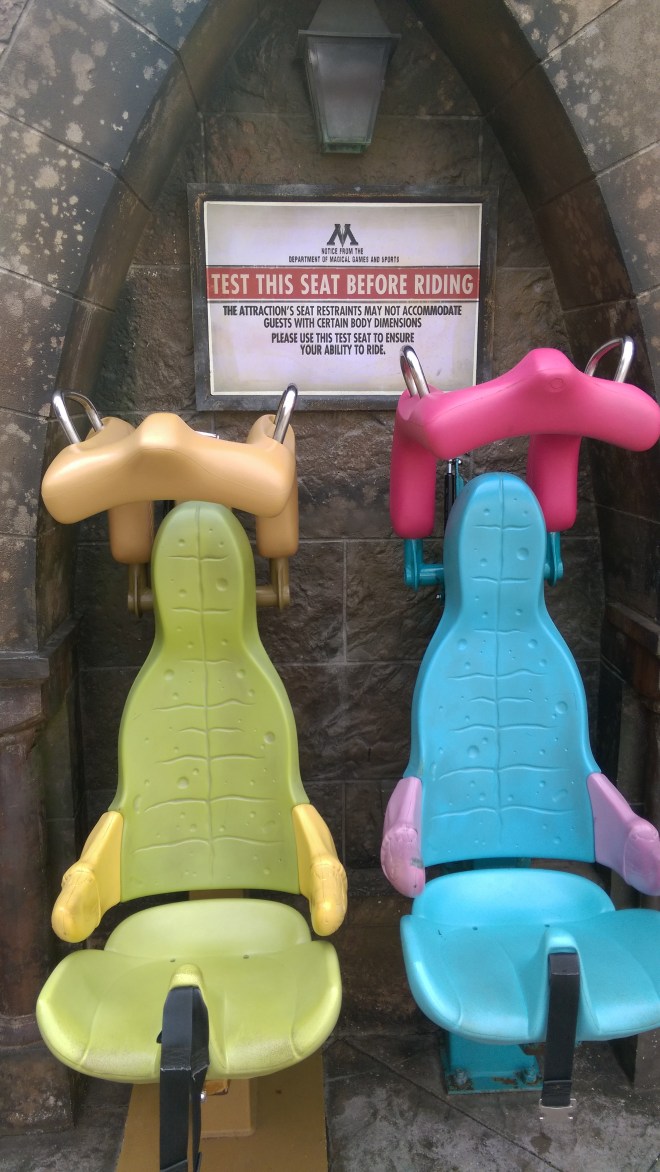 Dragon Challenge IOA (4)