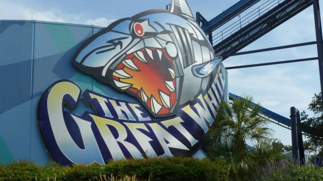 Great White Seaworld San Antonio Flex