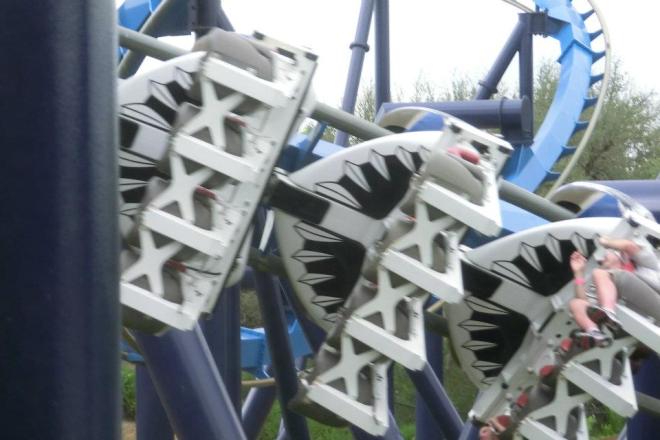 Great White Seaworld San Antonio