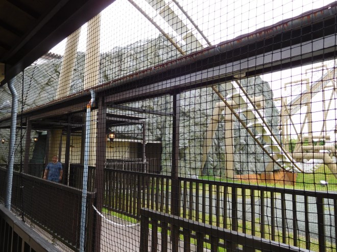 Pyrenees Parque Espana (14)