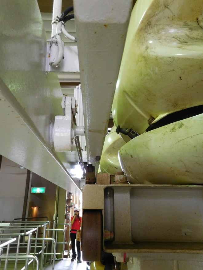 Pyrenees Parque Espana (48)