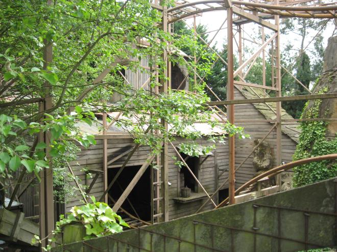 Rattlesnake Chessington World of Adventure (2)