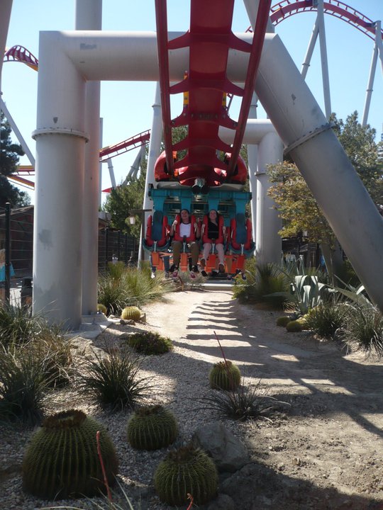 Silver Bullet Flex 6