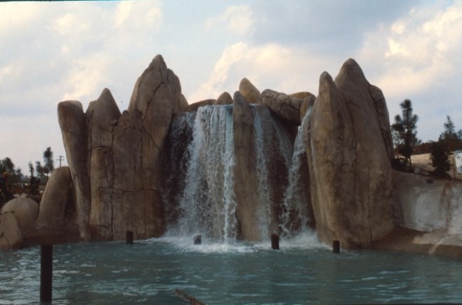 91311614_10158192276154444_6962965362111414272_n