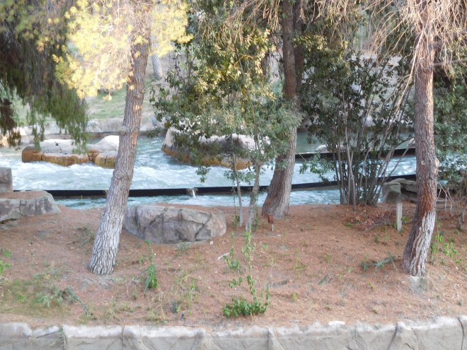 intamin-12-six-flags-magic-mountain-roaring-rapids-12