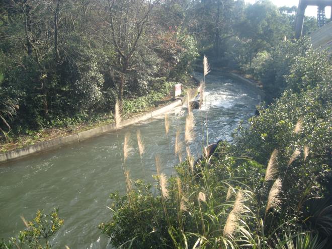 intamin-9-big-canyon-rapids-ride-leofoo-1