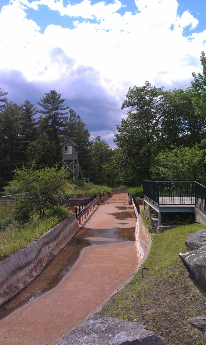 intamin-great-escape-dry-4