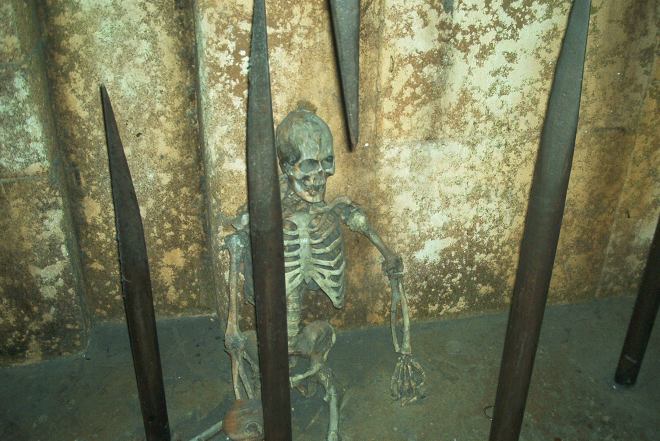 Indiana Jones Adventure Waiting Line DL (2)