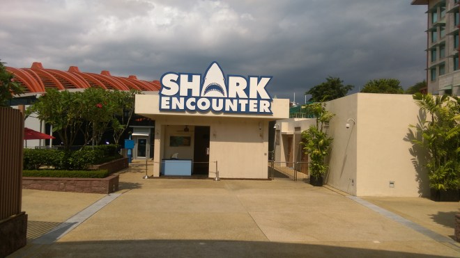 Shark Encounter