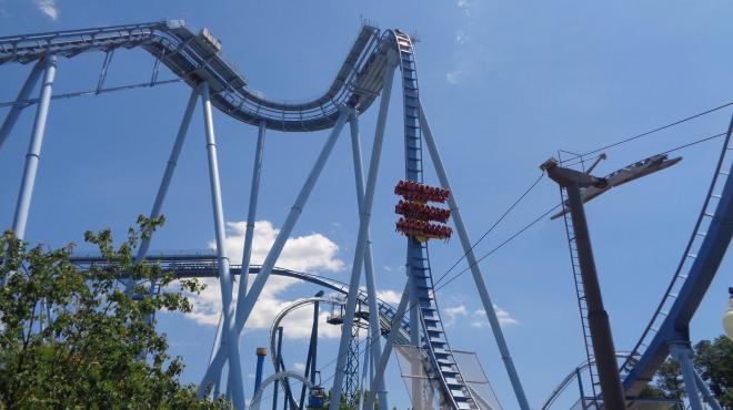 Griffon Busch Gardens Williamsburg Flex 3.jpg