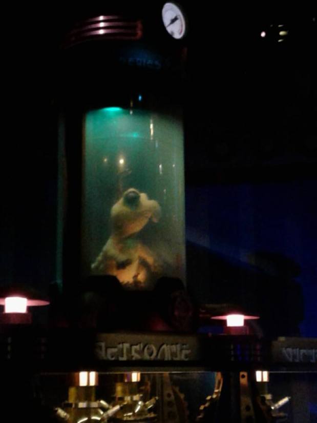 Seize The Future with X-S! Part two of our Disney Groundbreakers&nbsp;Series.